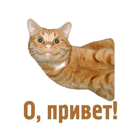 Стикер привет