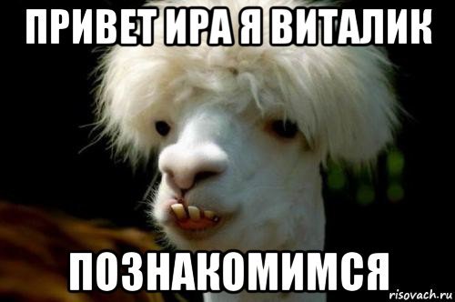 Открытка привет Ирина