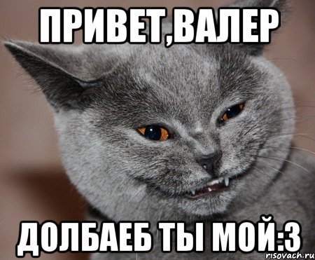 Военком Миша