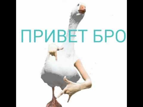 Привет бро