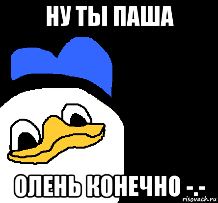 Привет Пашка картинки