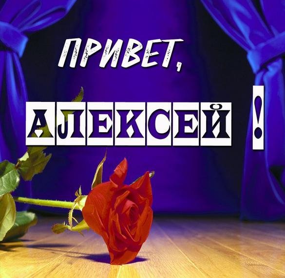 Привет санёк