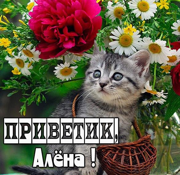 Привет Анастасия