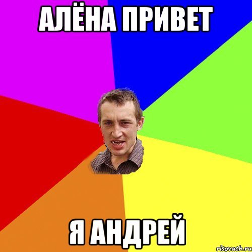 Кот Пидрила