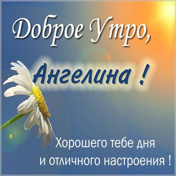 Ангелина тупая