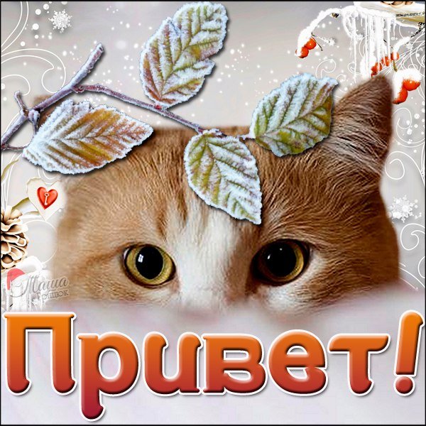 Открытка доброе утро Анечка