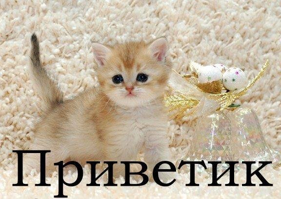 Викуля я тебя люблю картинки