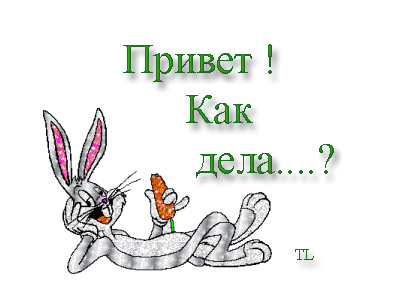 Джонни Ноксвилл кот