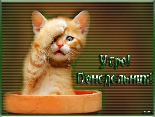 Открытки привет