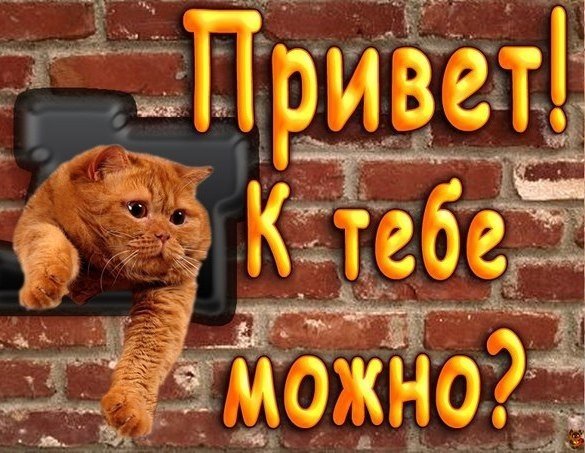 Вечерний привет