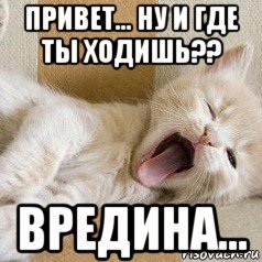 Привет вредина