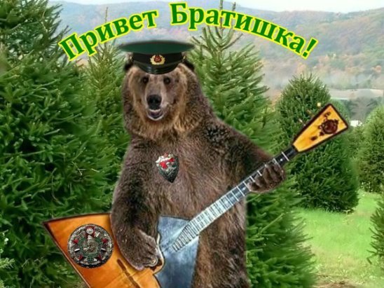 Привет брат картинки