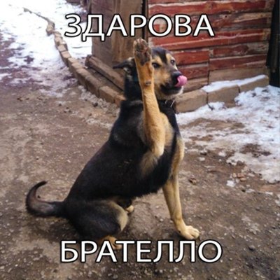 Здорова братан
