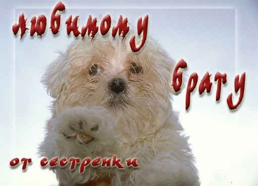 Картинка да кому ты пиздишь