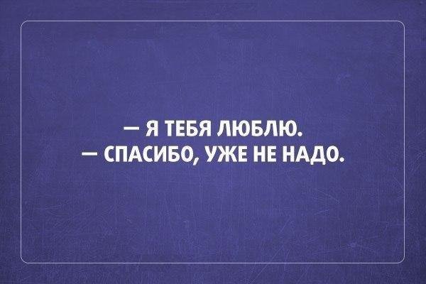 Я тебя люблю спасибо уже не надо