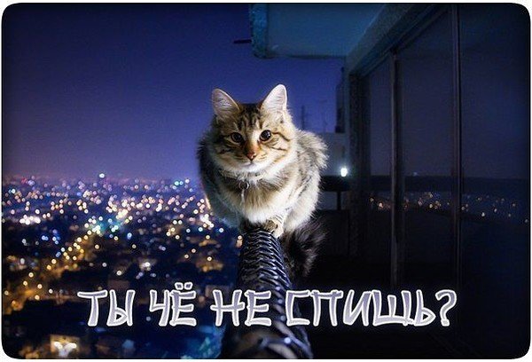 Че не спишь