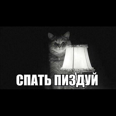 Мем иди спать с котиком