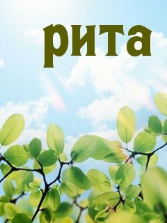 У каждого есть подруга по имени Рита