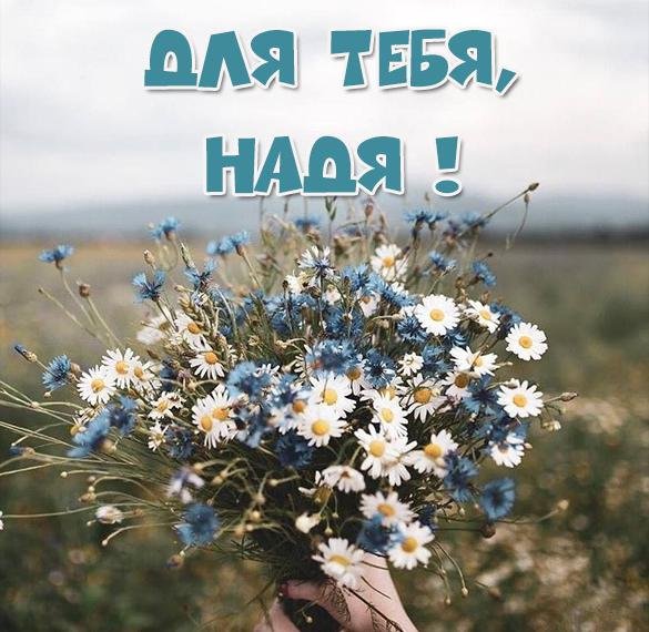 Привет Надя