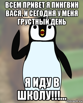 Пингвин Настя