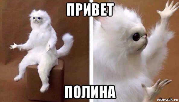 Ему 15 ей 21