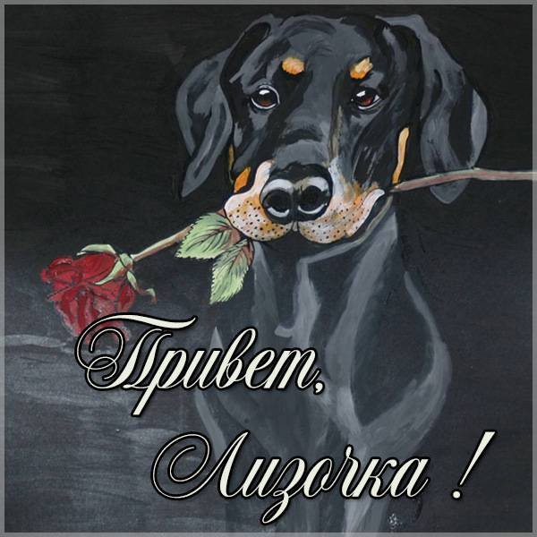 Инна надпись