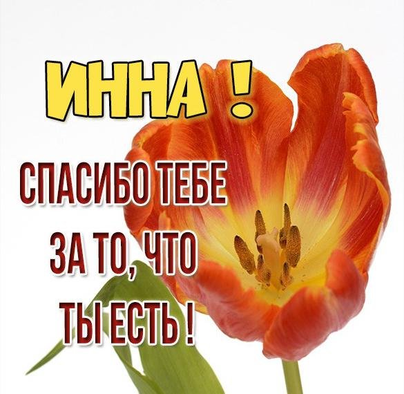 Приколы про Инну