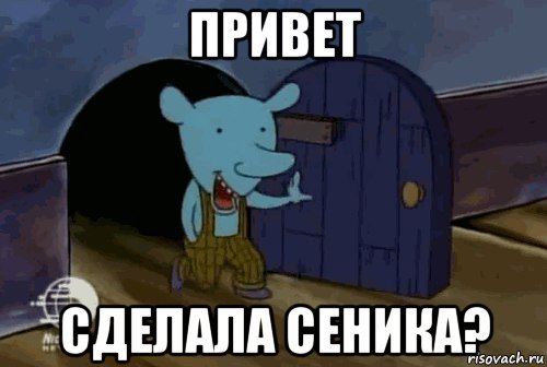 Мышь Уинслоу Мем