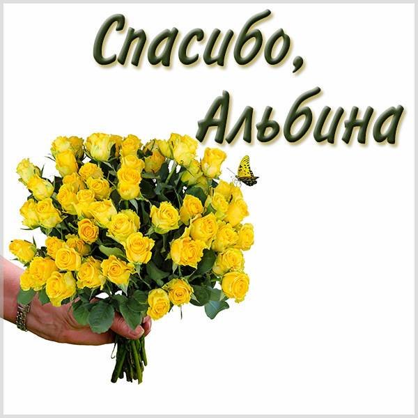 Белочка машет лапкой