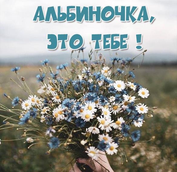 Красивая надпись Альбина