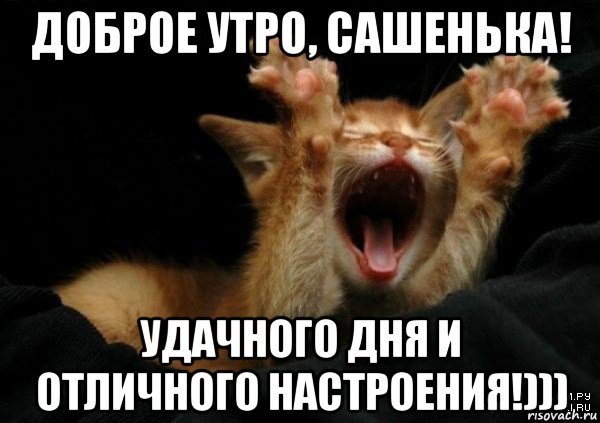 Картинки привет сашенька (40 фото)