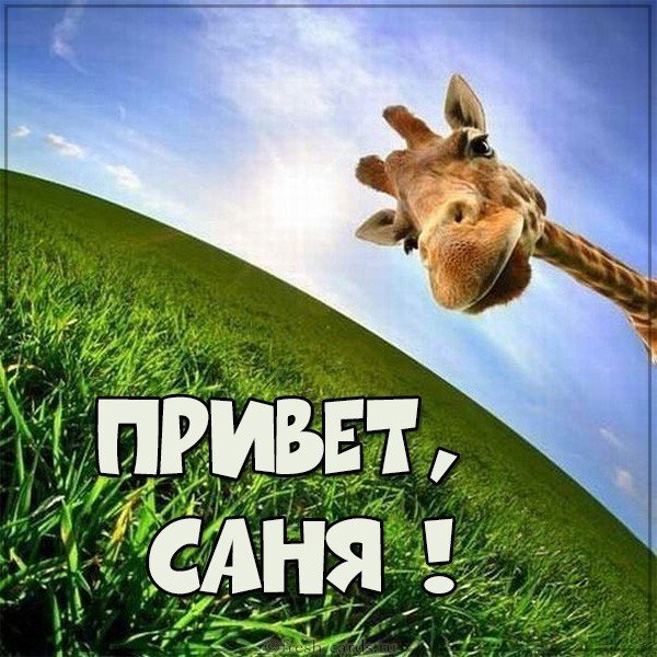 Привет Димочка