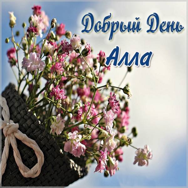 Аллочка надпись