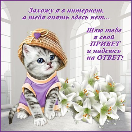 Открытки просто привет