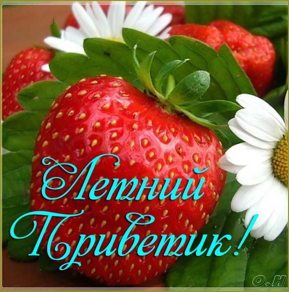 Песня привет лето