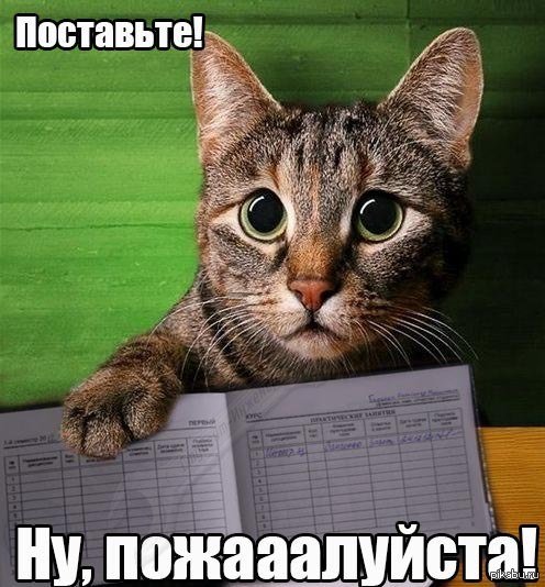 Шутки про сессию