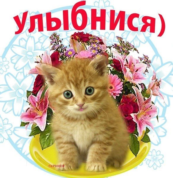 Картинки привет людмила (38 фото)