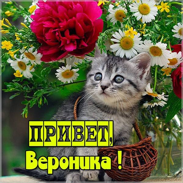 Приветик Иришка