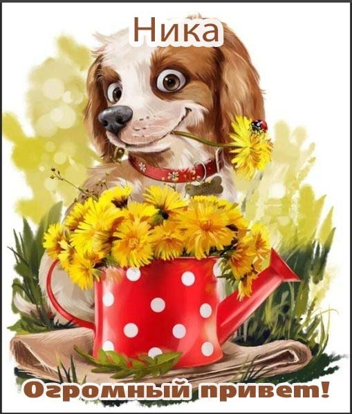Ну привет