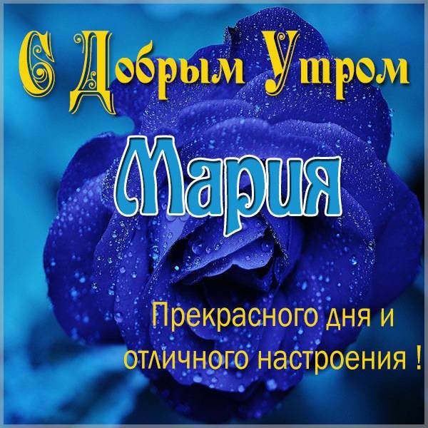 Добрый июльский приветик
