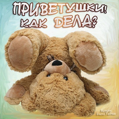 Привет открытки мишки