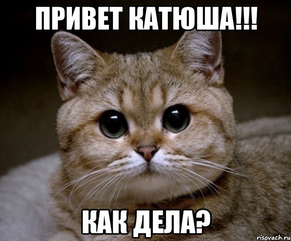 Мем Пидрила