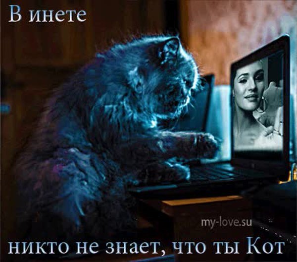 Картинки никто не знает
