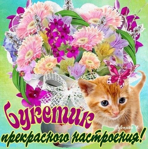 Открытки просто так от души для настроения женщине бесплатно