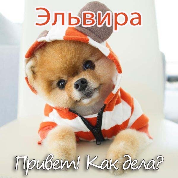 Привет Эльвира открытка