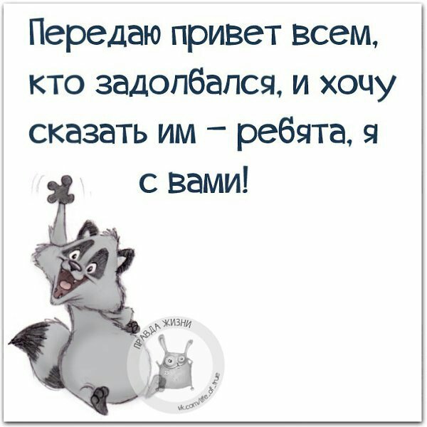 Задолбался на работе картинки