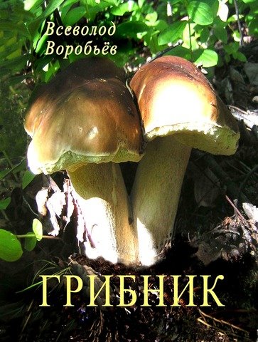 Привет грибникам картинки