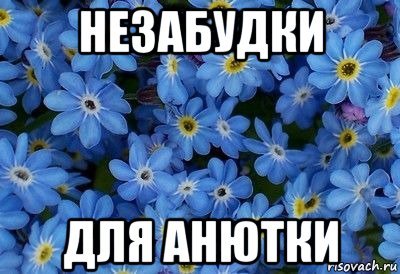 Привет Аня картинки прикольные