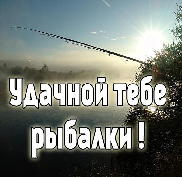 Рыболовные наклейки