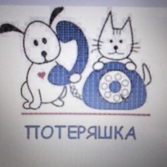 Группа потеряшки